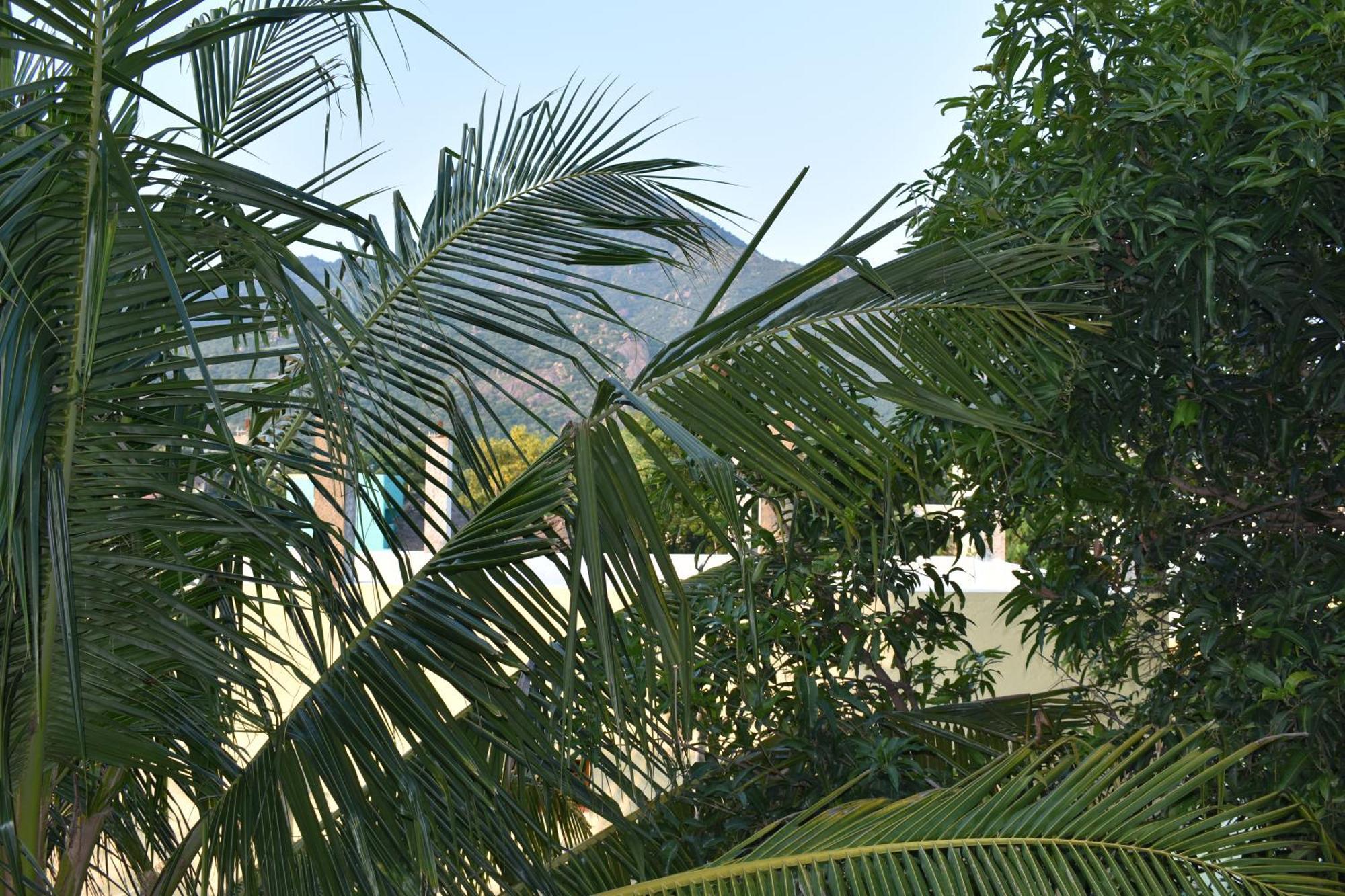 Rainbow Guest House Tiruvannāmalai المظهر الخارجي الصورة