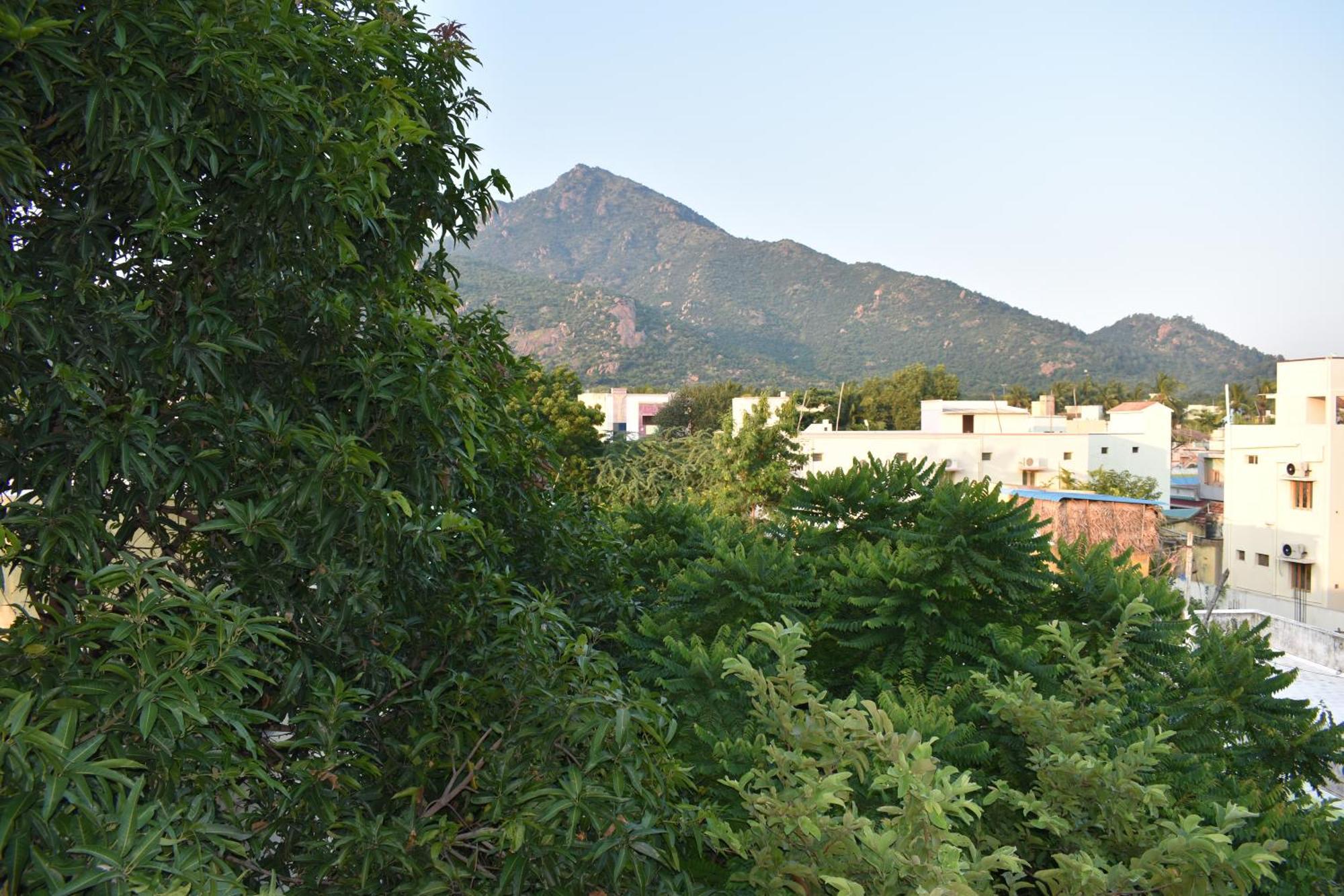 Rainbow Guest House Tiruvannāmalai المظهر الخارجي الصورة